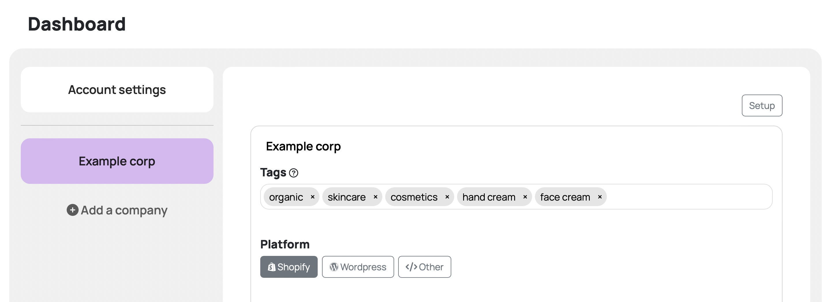 View of a company setup interface, including
      tags and platform selection