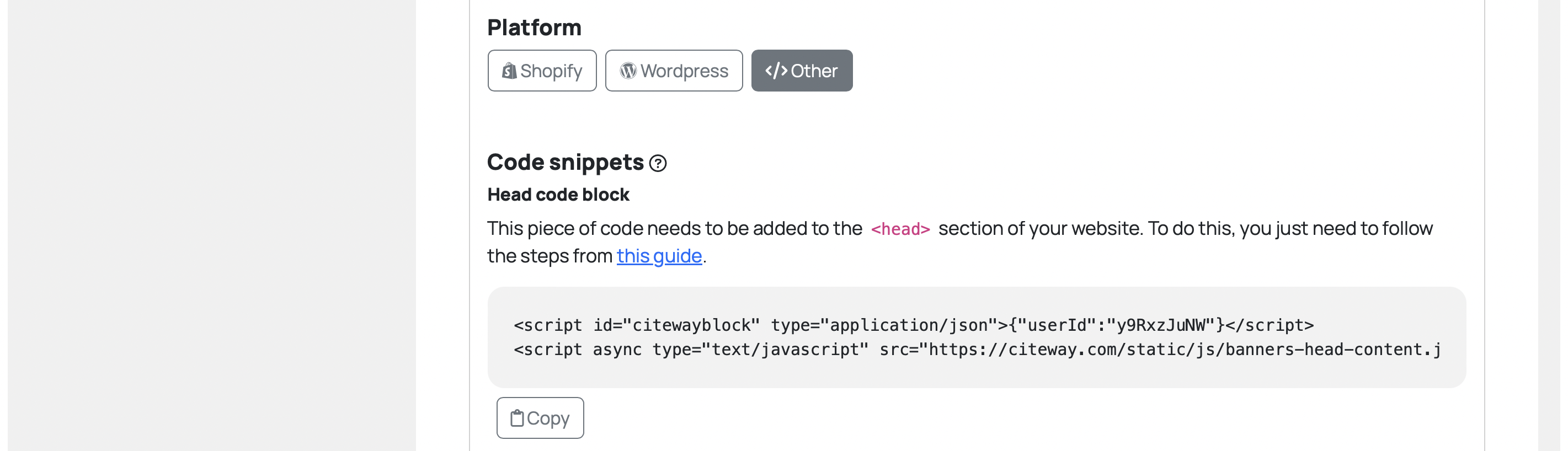 Head code block insertion
      setup section