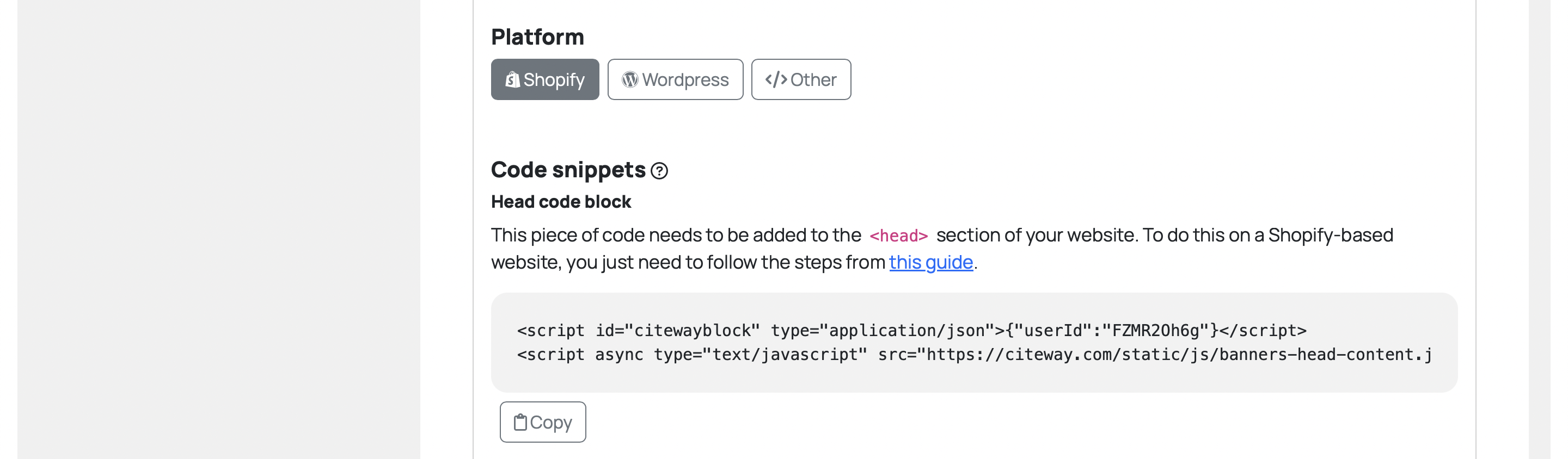 Head code block insertion
      setup section